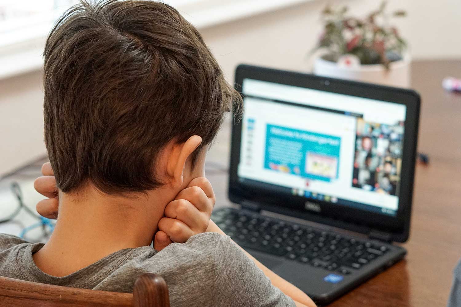 boy with hands on cheeks looking at computer screen